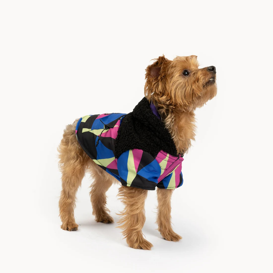 Silver Paw Ingo Dog Jacket - Large