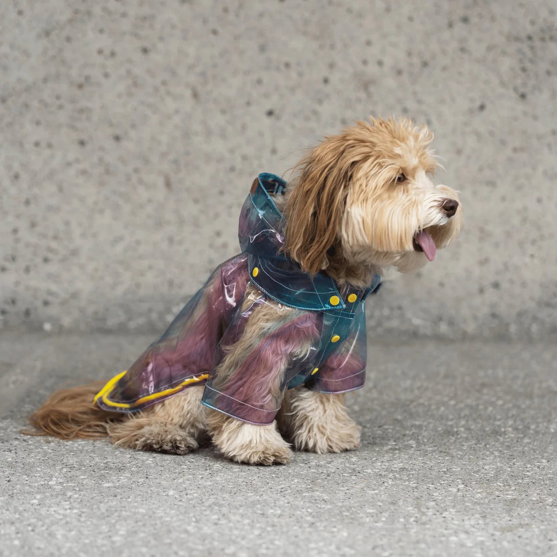 Silver Paw Kinney Raincoat - XL