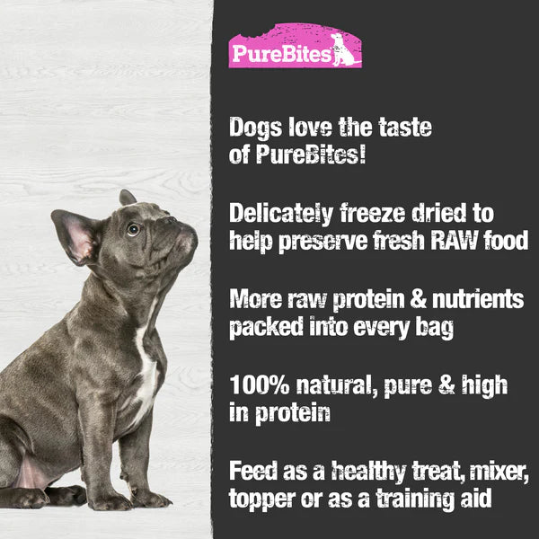 PureBites Salmon Freeze Dried Dog Treats 33g