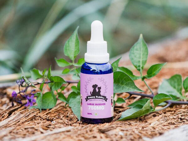 Happy Buddies Canine Whole Hemp Plant Extract Oil Tincture Large Breed 30ml