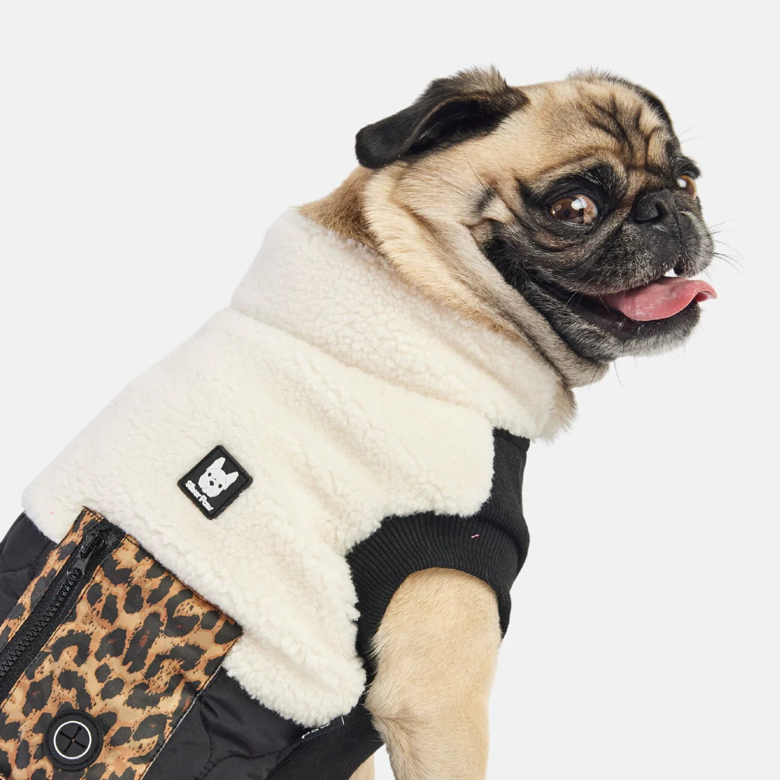 Silver Paw Loki Dog Jacket - Medium