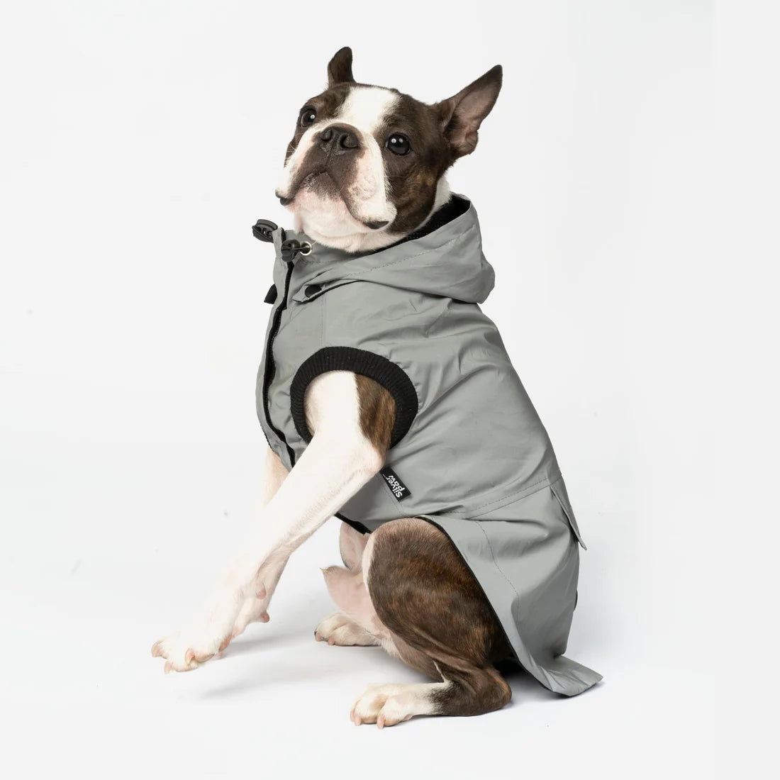 Silver Paw Reflective Raincoat - Extra Small