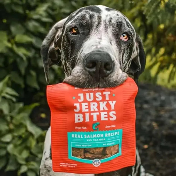 Stella & Chewy's Just Jerky Bites Real Salmon Recipe 170g