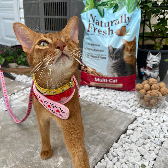 Naturally Fresh Multi-Cat Formula Litter 26lb