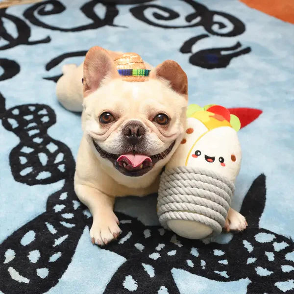 Hugsmart Fiesta Chewsday - Burrito