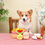 Hugsmart Picnic Time - Picnic Basket