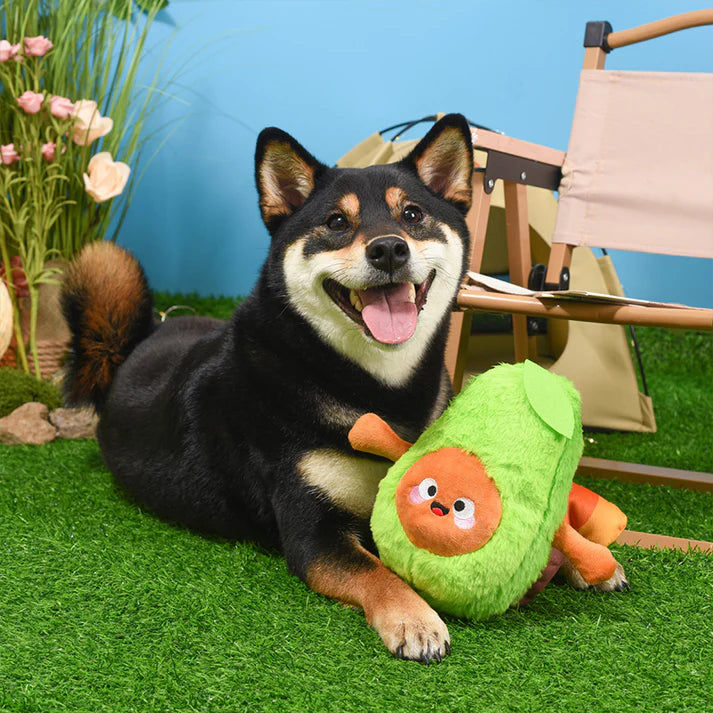 HugSmart Camping Pups - Camping Avocado