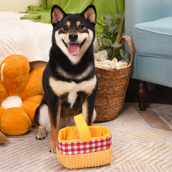 Hugsmart Picnic Time - Picnic Basket