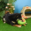 HugSmart Camping Pups - Camping Avocado