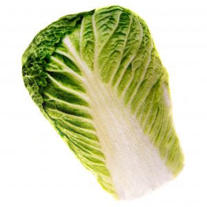 Natural Cat Toy Silver Vine Jumbo Chinese Cabbage