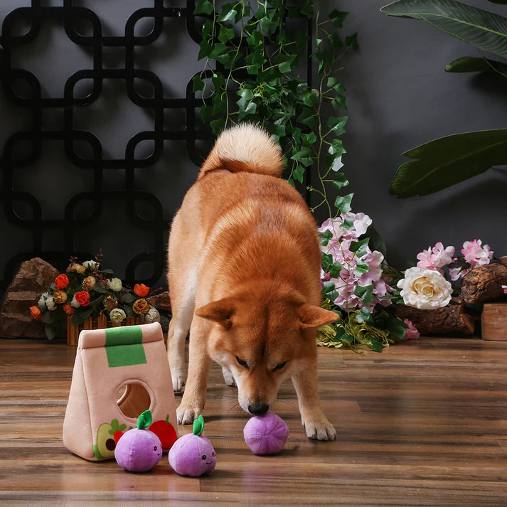 Hugsmart Food Party - Grocery Bag