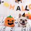HugSmart - Halloween Night - Ghost Pumpkin