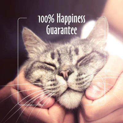 Earthbath Hypoallergenic Cat Wipes 100Ct