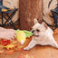 Hugsmart Camping Pups - Corn