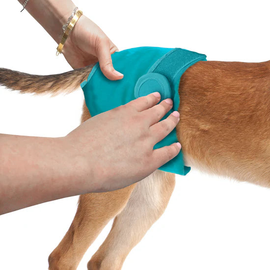 Simple Solution Washable Female Dog Diaper - Medium