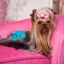 Simple Solution Washable Female Dog Diaper - Medium