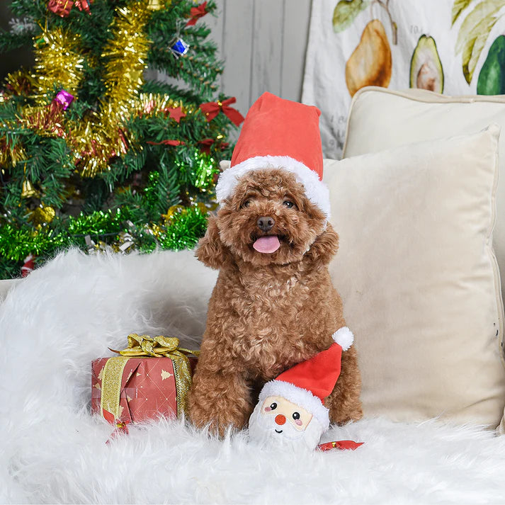 HugSmart Happy Woofmas - Santa Ball