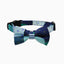 Hugsmart City Impression - Broadway Cat Collar