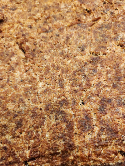 Ber Bites Pork with Cranberry & Pumpkin 100g