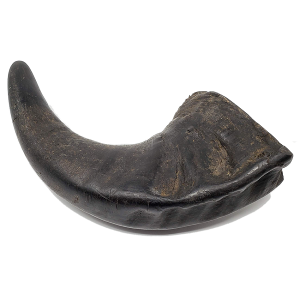 Open Range Water Buffalo Horn Small