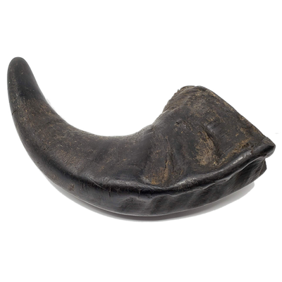 Open Range Water Buffalo Horn Small