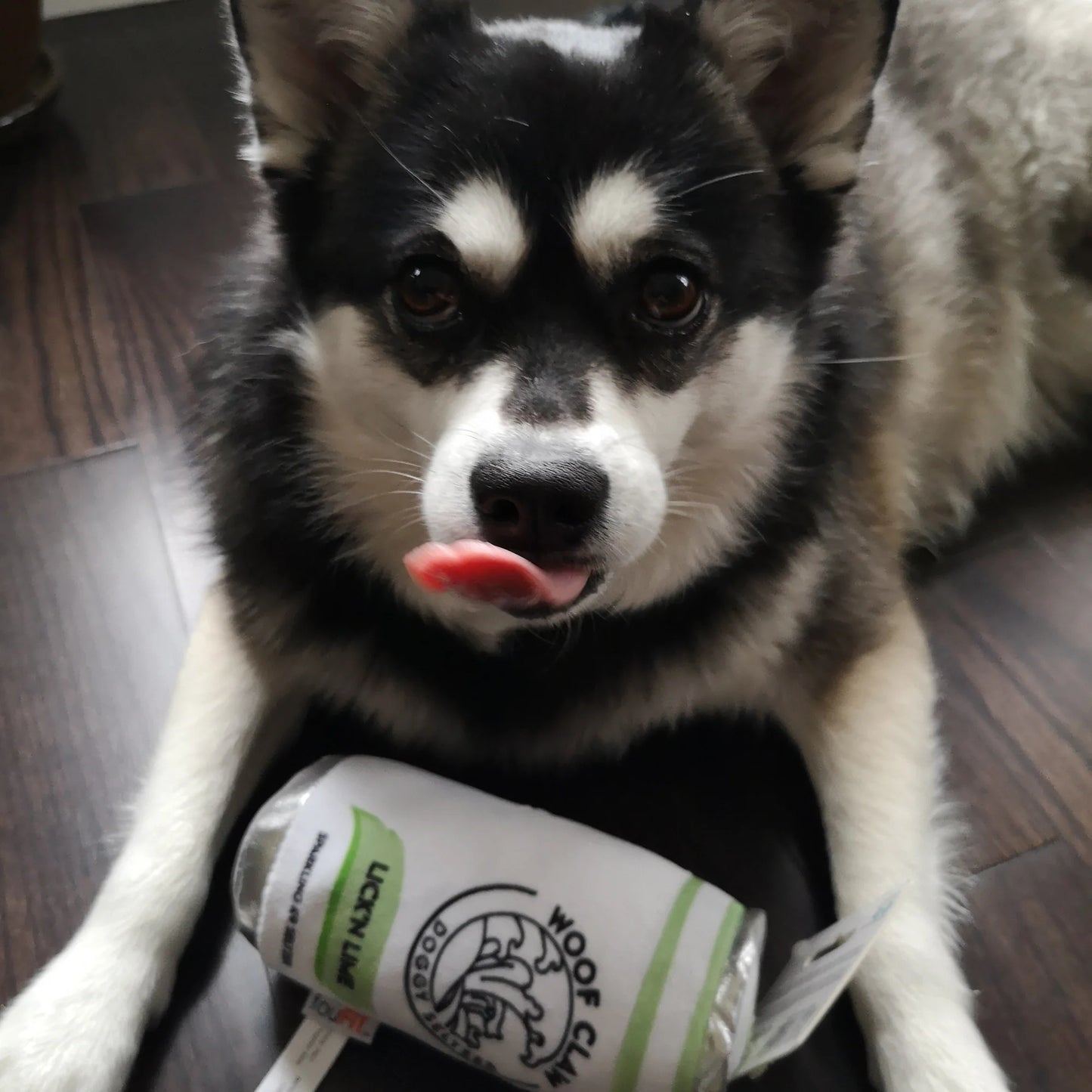 Fou Fou Brands Woof Claw Plush Lick'n Lime