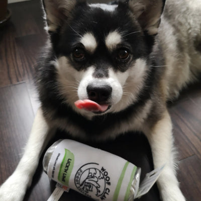 Fou Fou Brands Woof Claw Plush Lick'n Lime