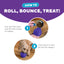 Outward Hound Orbee-Tuff Snoop Interactive Treat Dispensing Dog Toy Purple Small