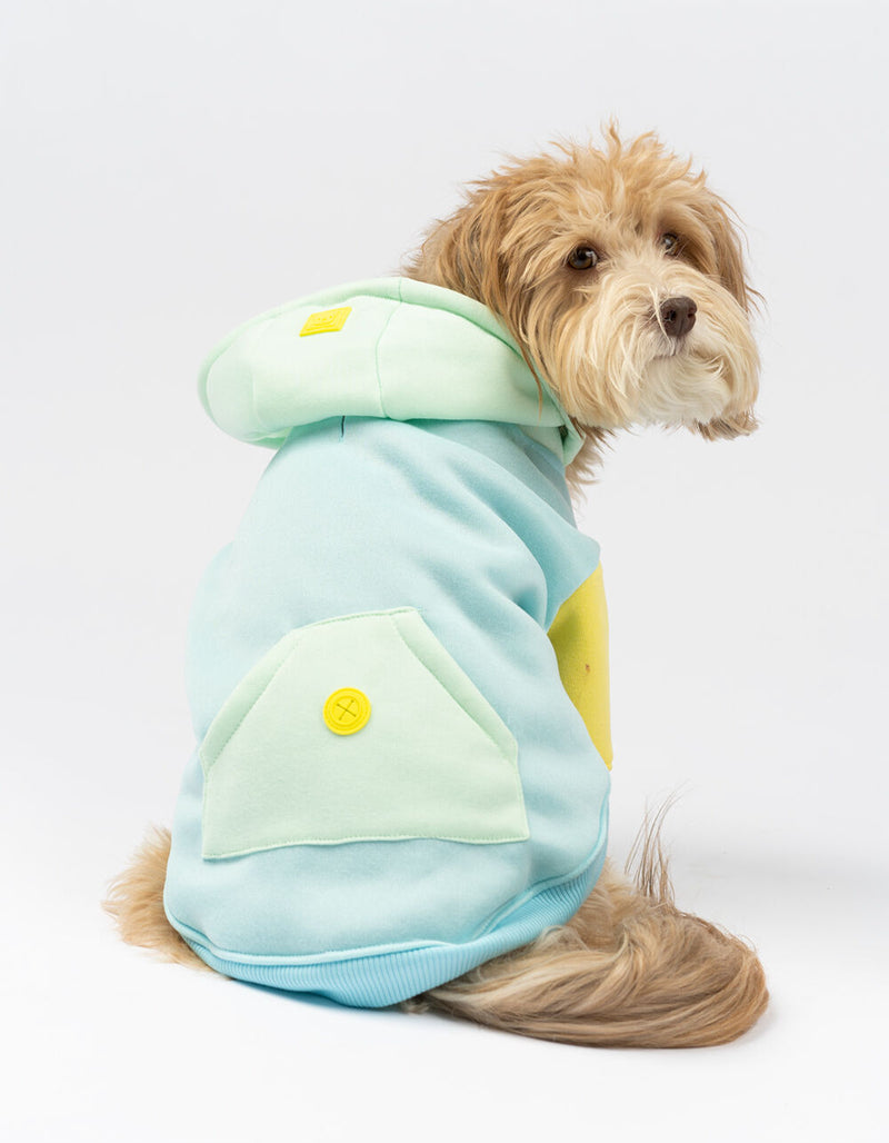 Silver Paw Blue Venice Dog Hoodie - Extra Small