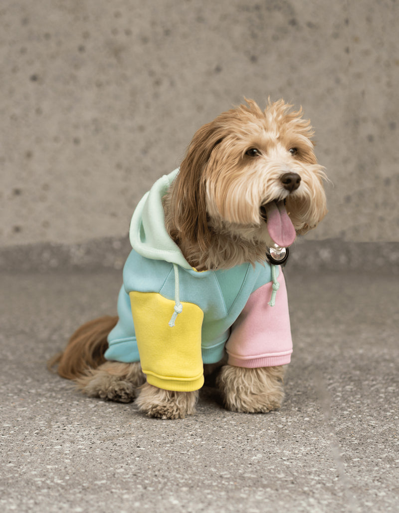 Silver Paw Blue Venice Dog Hoodie - Extra Small