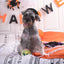 HugSmart Howloween Night - Zombie