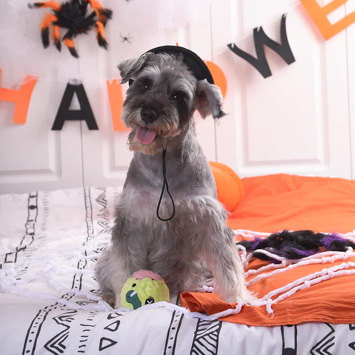 HugSmart Howloween Night - Zombie
