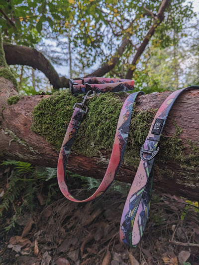 Woof & Stuff - Sunrise Peaks Waterproof Leash - 1" - 6 Ft