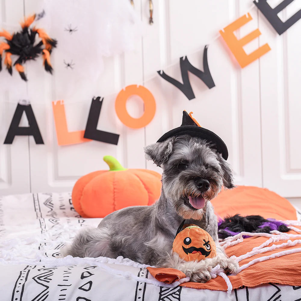 HugSmart - Halloween Night - Pumpkin Ball