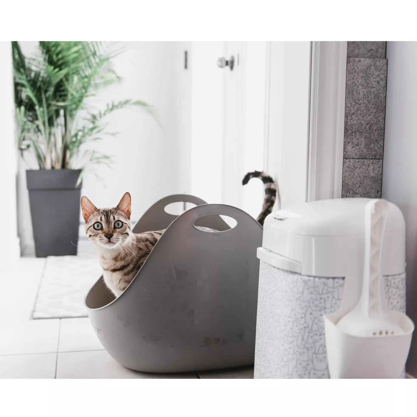 LitterLocker Litter Box with Scoop