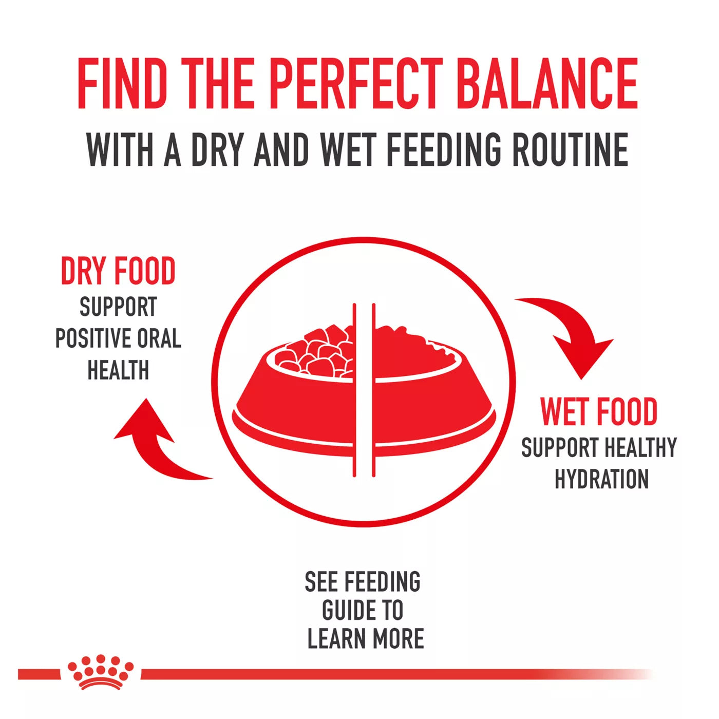 Royal Canin Feline Health Nutrition Instinctive Adult Cat Chunks in Gravy Food 85g