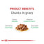 Royal Canin Feline Care Nutrition Digestive Care Adult Cat Chunks in Gravy Food 85g