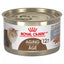 Royal Canin Feline Health Nutrition Aging 12+ Loaf Senior Cat Food 145g