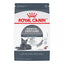 Royal Canin Dental Adult Cat Dry Food 14lb