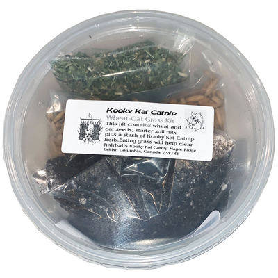 Kooky Kat Grow Your Own Wheat & Oat Grass With Soil