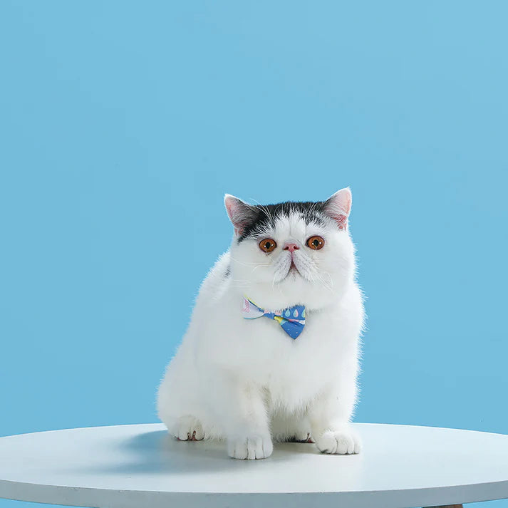 Hugsmart City Impression - Vancouver Cat Collar