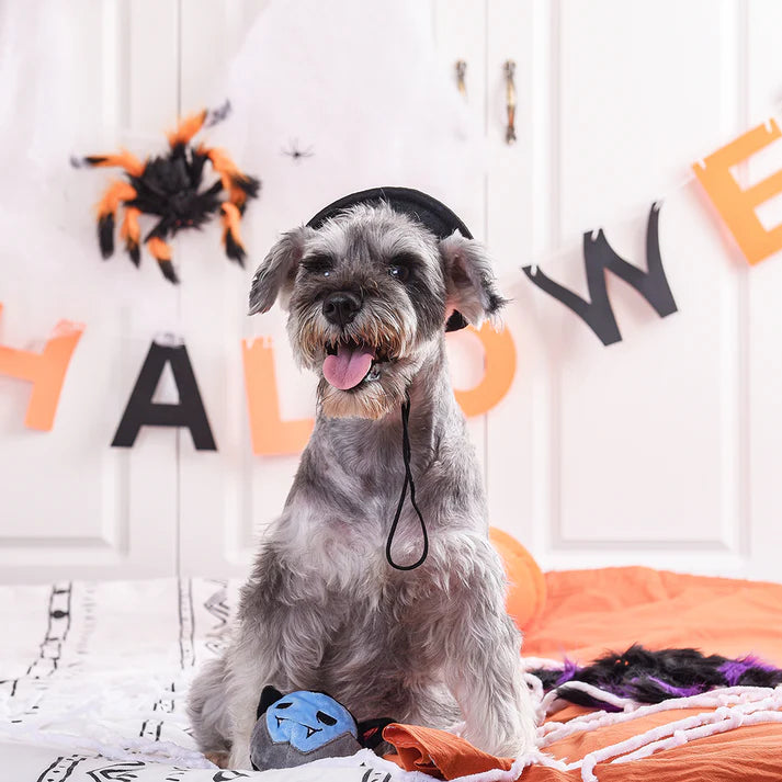 Hugsmart Howloween Night - Vampire
