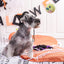 HugSmart Howloween Night - Zombie