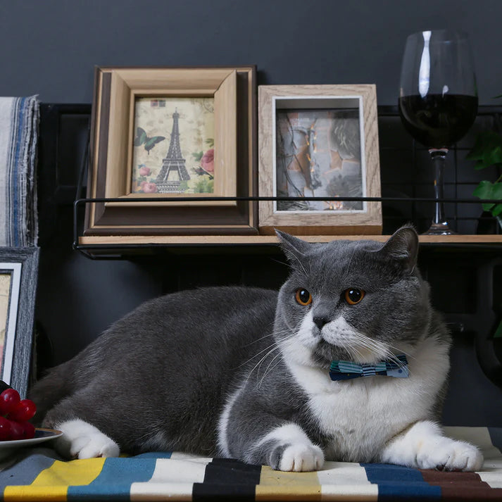 Hugsmart City Impression - Broadway Cat Collar