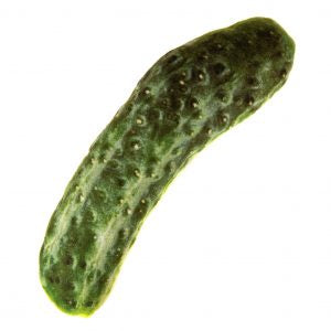 Natural Cat Toy Silver Vine Jumbo Cucumber