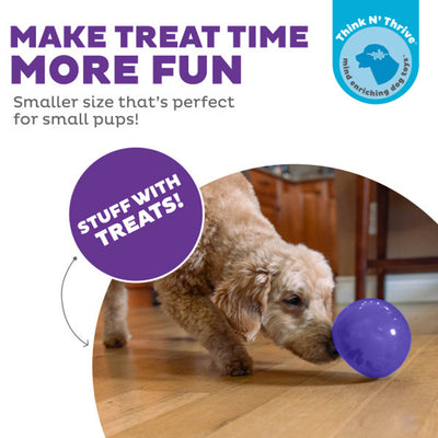 Outward Hound Orbee-Tuff Snoop Interactive Treat Dispensing Dog Toy Purple Small