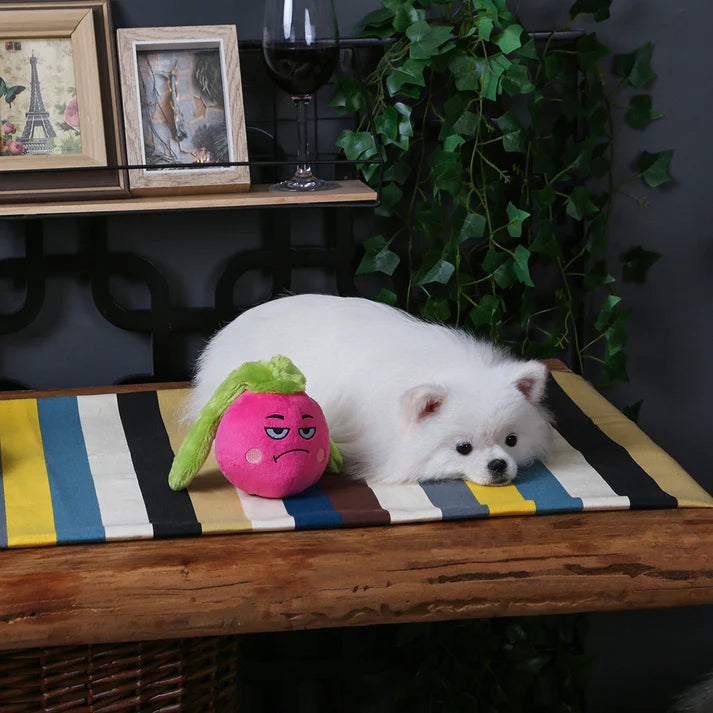 Hugsmart Feisty Veggie - Radish