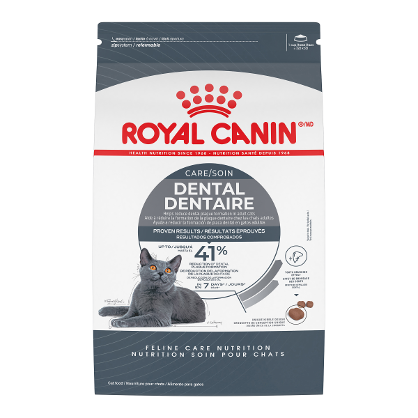 Royal Canin Dental Adult Cat Dry Food  6lb