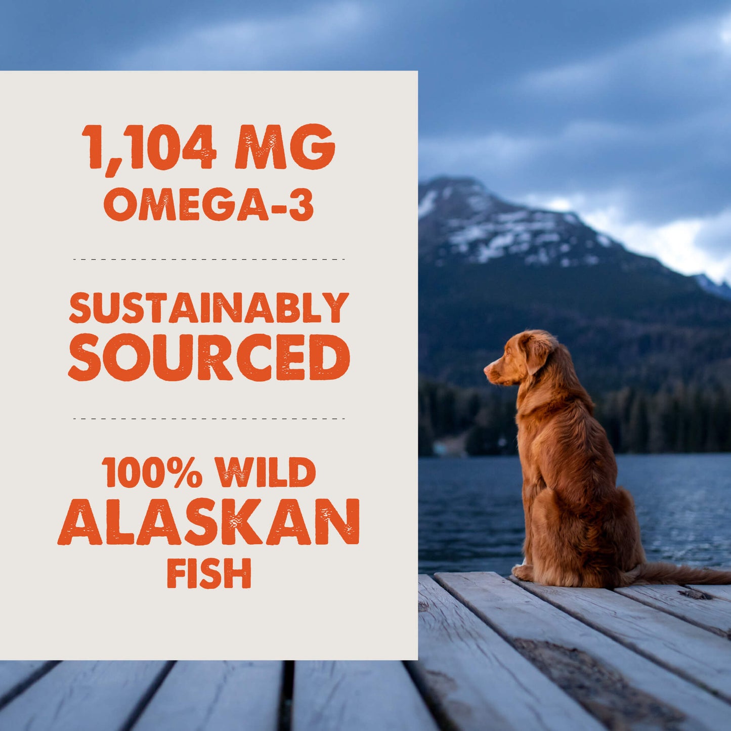 Grizzly Pet Products Salmon Plus Supplement 16oz