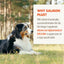 Grizzly Pet Products Salmon Plus Supplement 16oz
